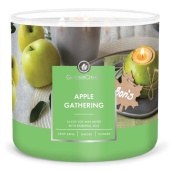 GOOSE CREEK Ароматическая свеча "APPLE GATHERING/ Яблочный сбор", в подсвечнике с 3 фитилями, вес - 411 гр, время горения - 35+ часов, соевый воск